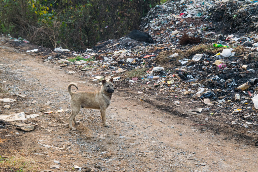 Hike to waterfall, Hsipaw