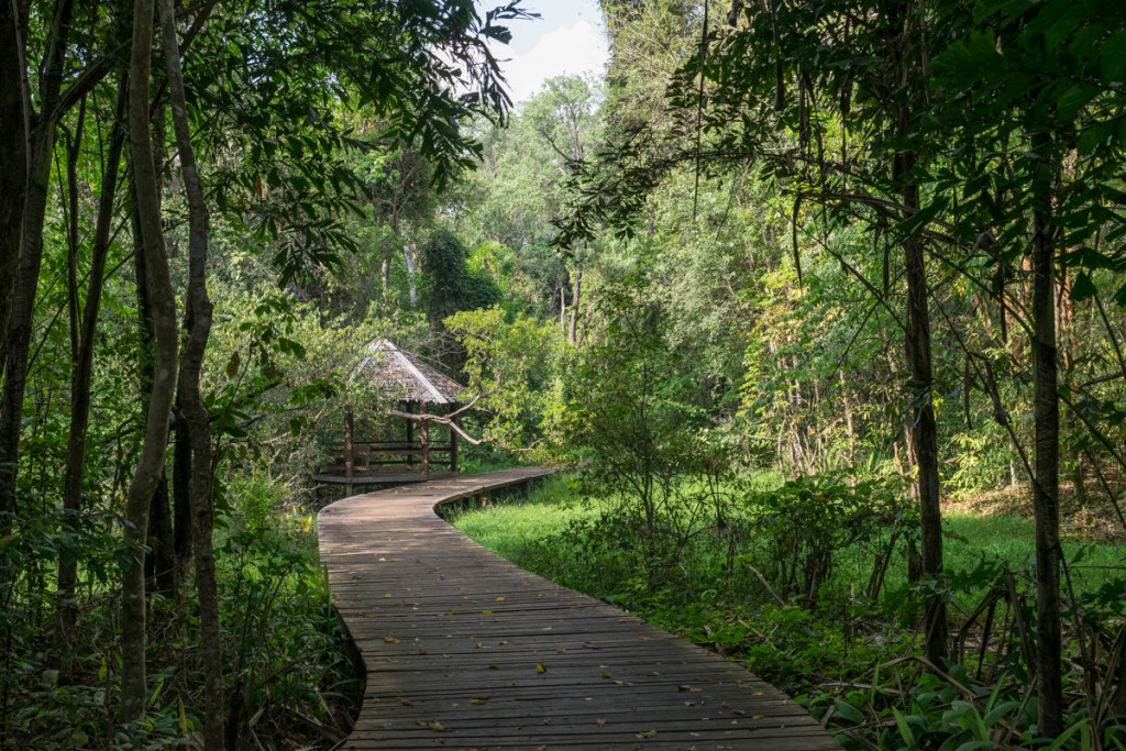 National Kandawgyi Botanical Gardens, Pyin Oo Lwin