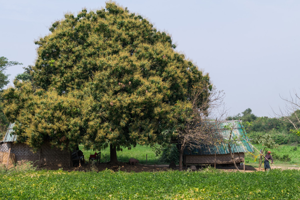 Inwa (Ava), Myanmar