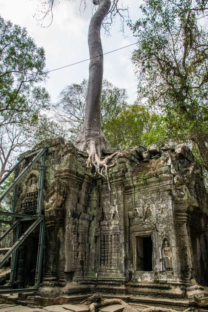  Ta Prohm temples