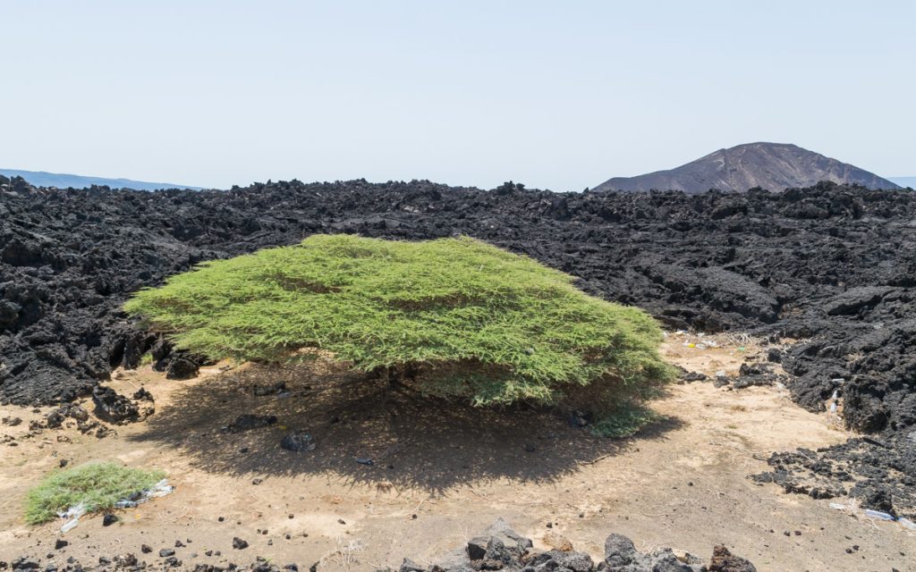 Road to Lac Assal, Djibouti