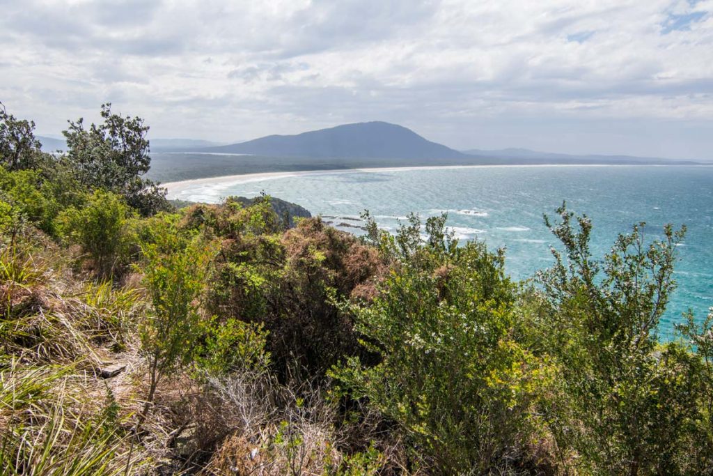 Diamond Head Loop Walk at Crowdy Bay National Park