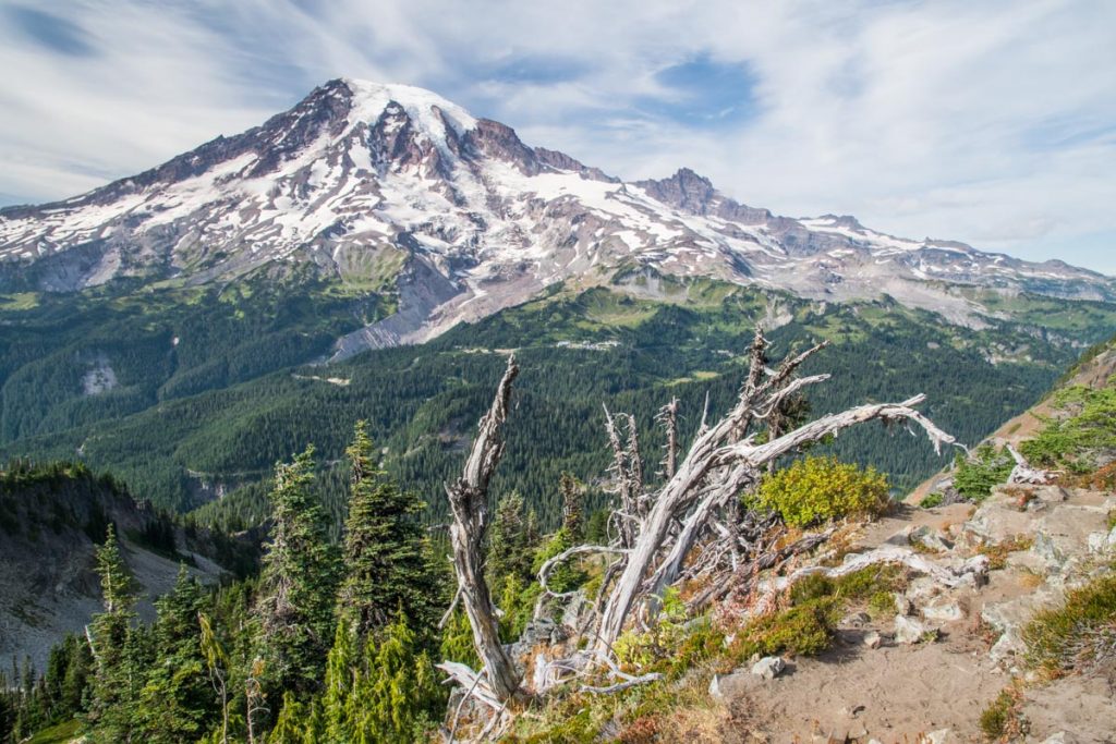 Views from Pinnacle Peak, Mount Rainier National Park