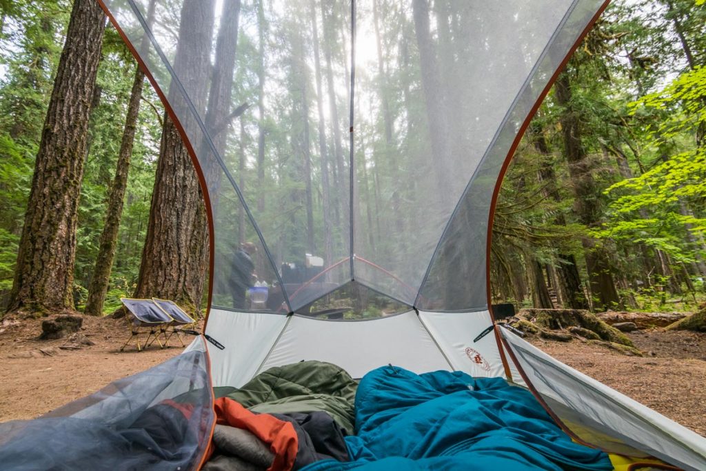 Ohanapecosh Campground, Mount Rainier National Park