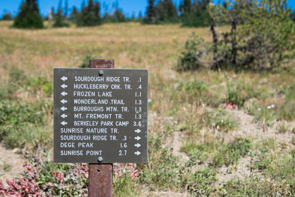 Mount Freemont Lookout trail, Mount Rainier National Park