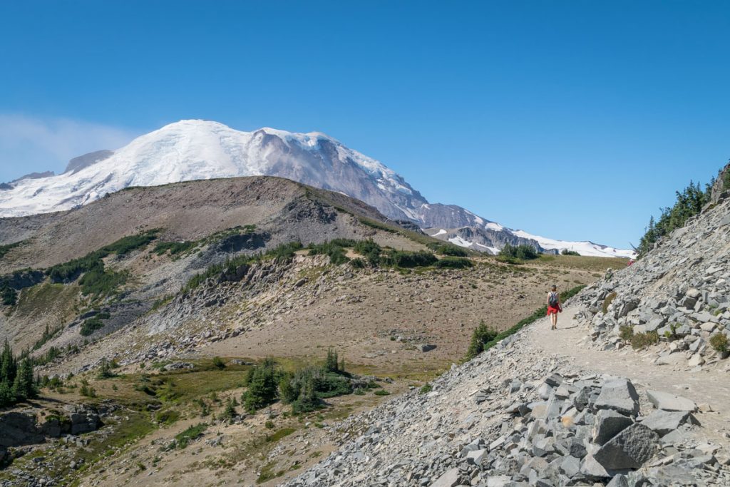 Mount Freemont Lookout trail, Mount Rainier National Park