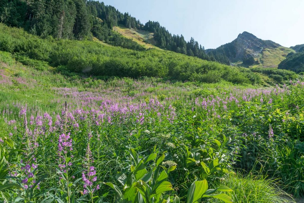 Hidden Lake hike, North Cascades National Park