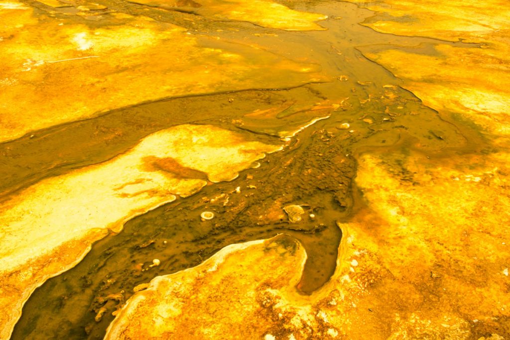 Upper Geyser Basin, Yellowstone National Park