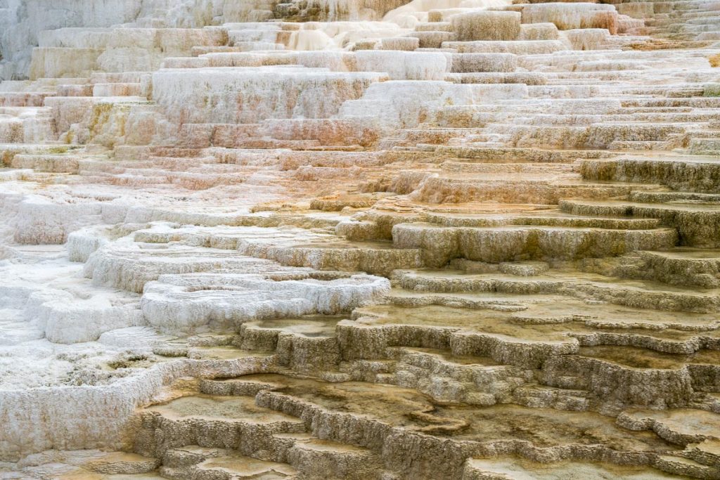 Mammoth Hot Springs, Yellowstone National Park