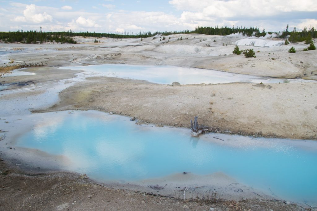 Norris Geyser Basin, Yellowstone National Park