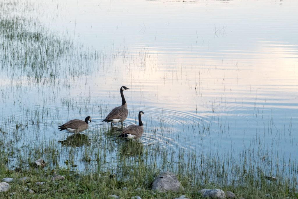 Colter Bay, Grand Teton National Park