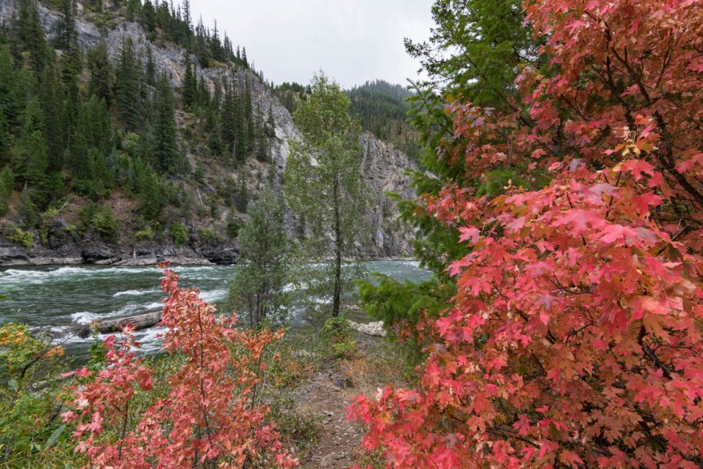 Snake River, Wyoming