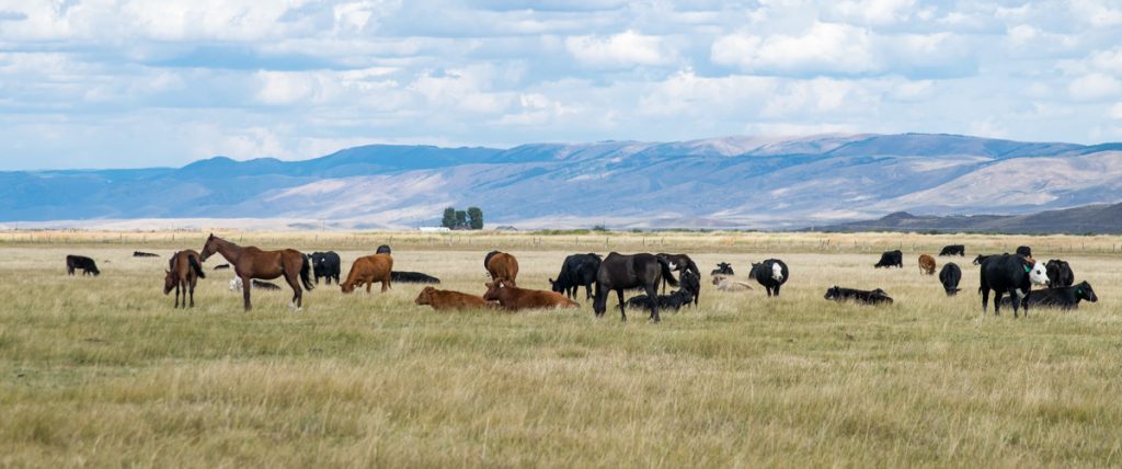 Farmland, Utah