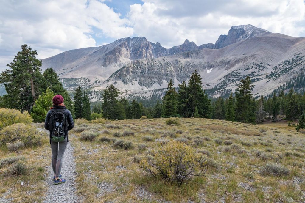 Looking back at Wheeler Peak