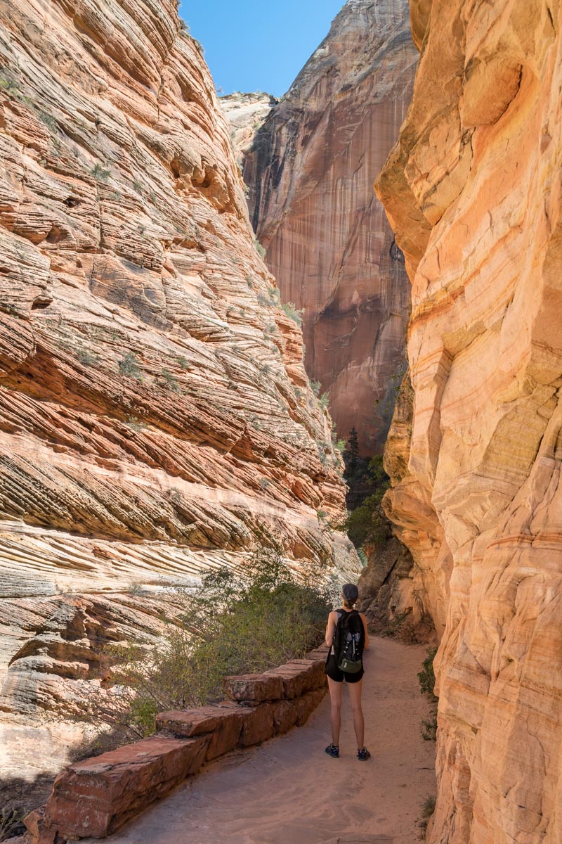 Observation Point Trail, Zion National Park