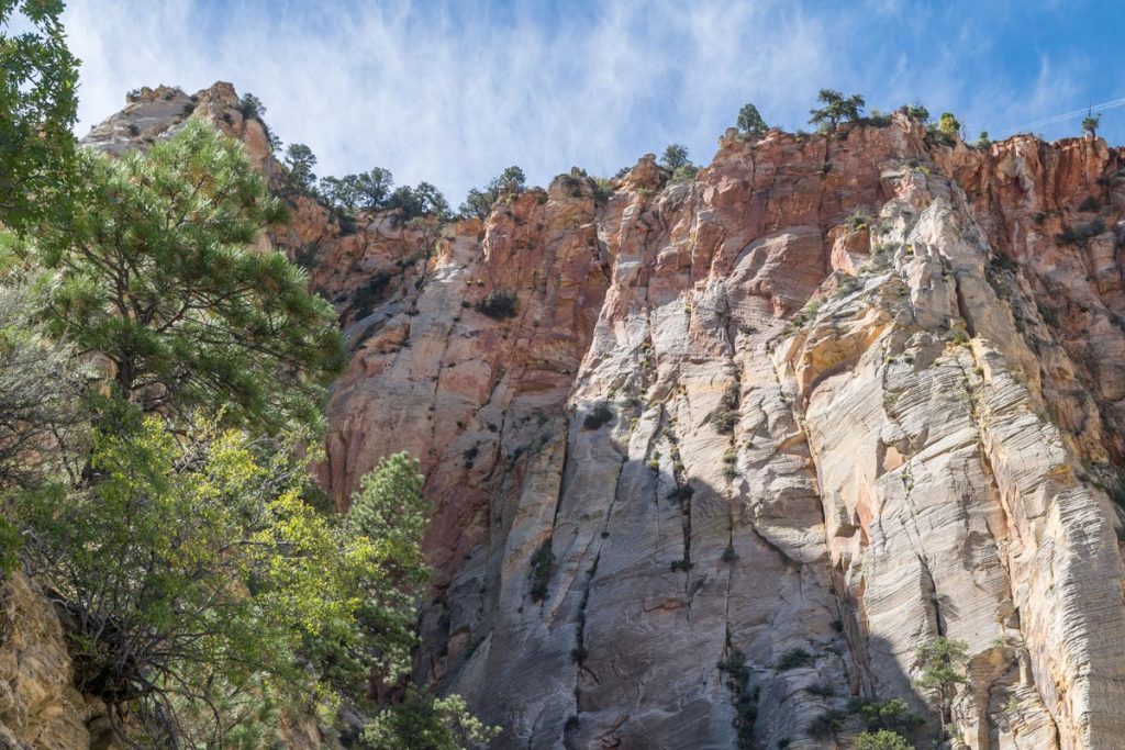 Observation Point Trail, Zion National Park