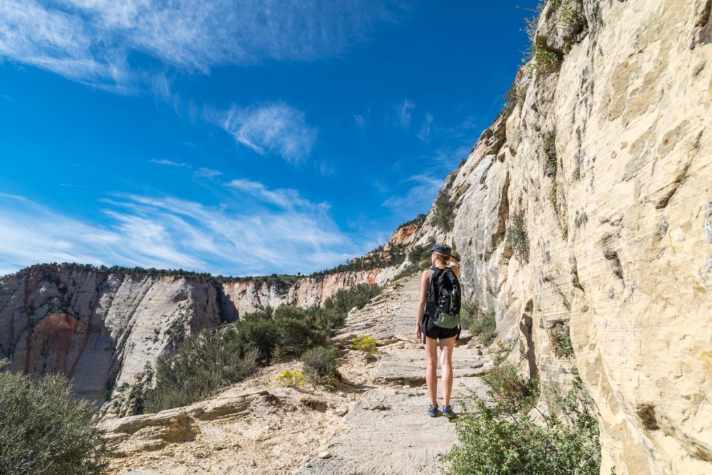 Observation Point Trail, Zion National Park