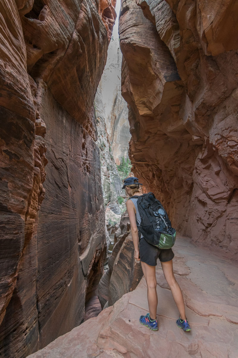 Observation Point Trail, Zion National Park