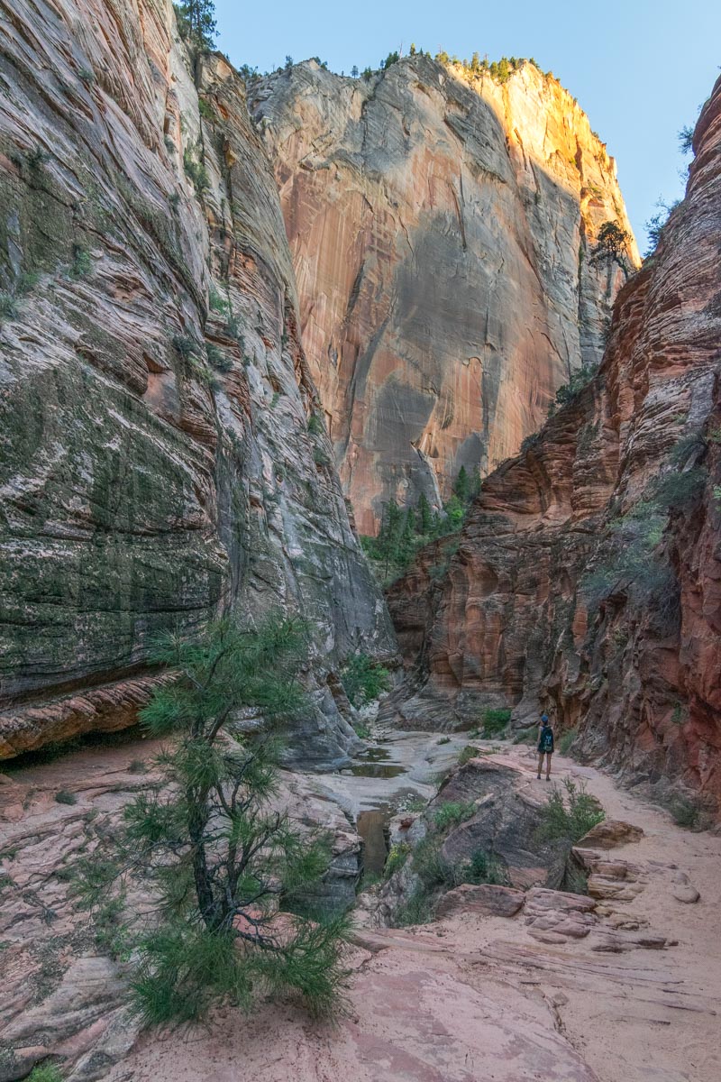 Observation Point Trail, Zion National Park