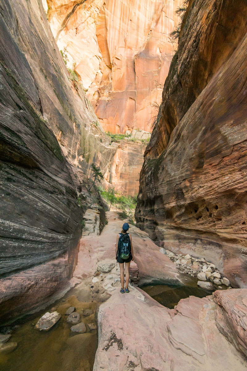 Observation Point Trail, Zion National Park