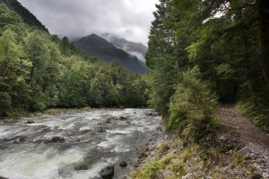 Milford Track