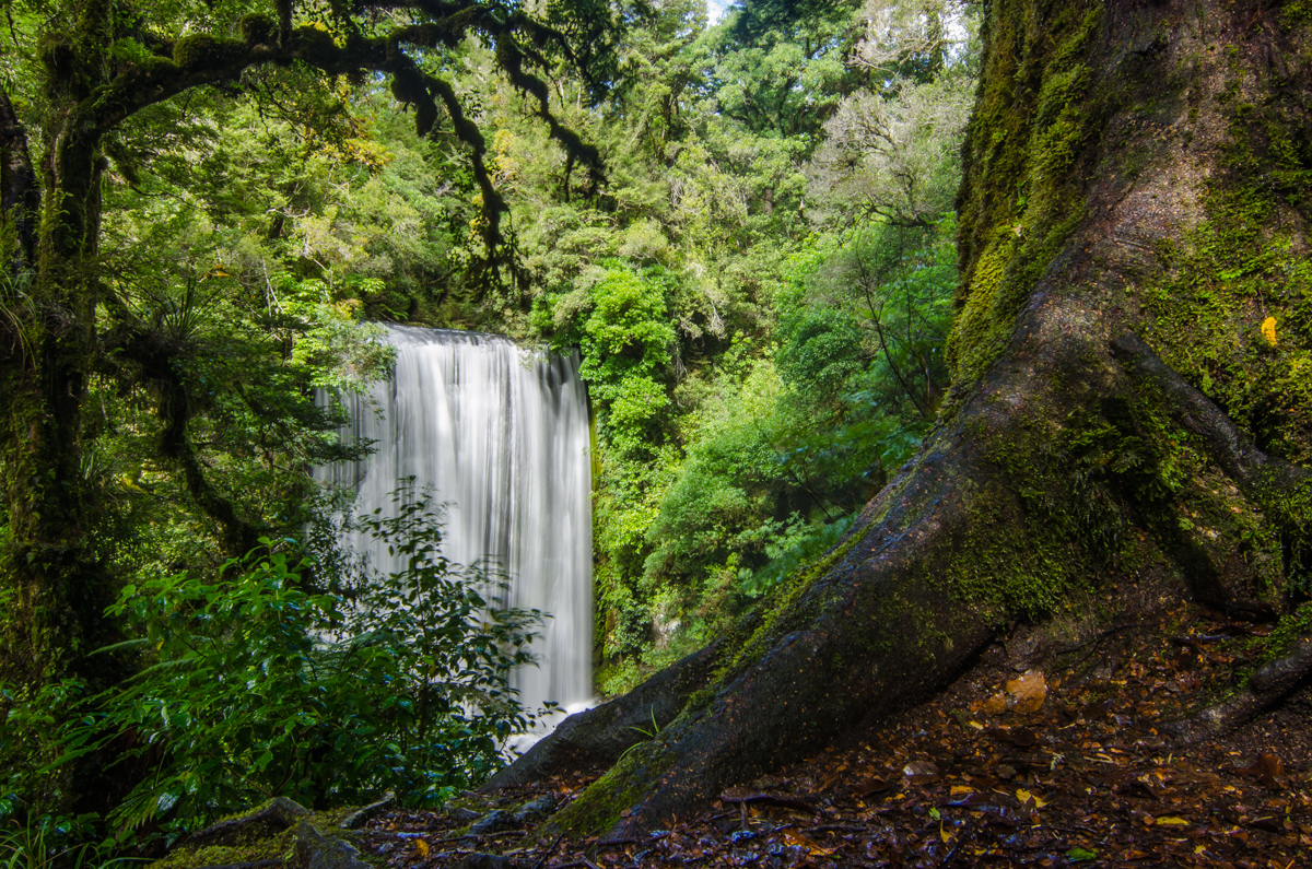 Korokoro Falls, Lake Waikaremoana Great Walk
