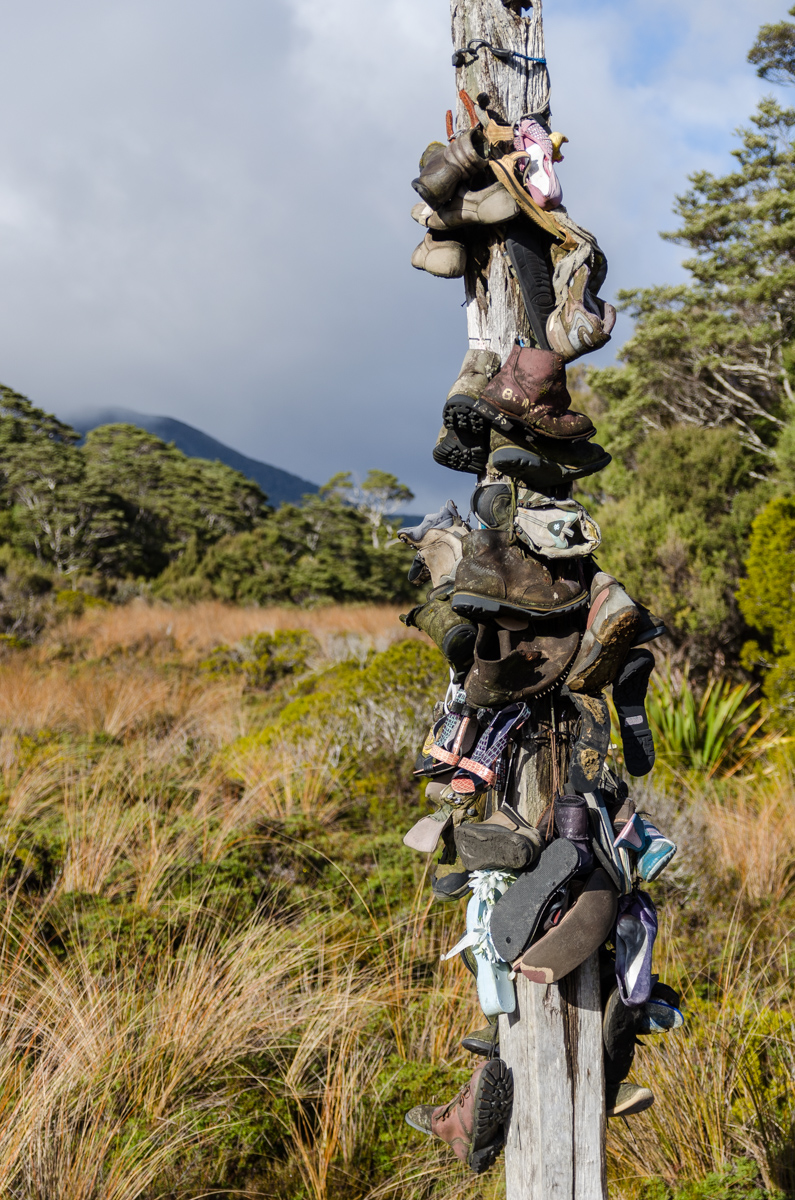 Heaphy Boot Pole, Heaphy Track