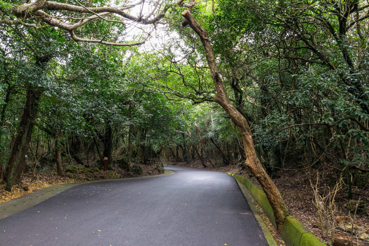 Kenting Forest Recreation Area